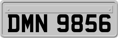 DMN9856
