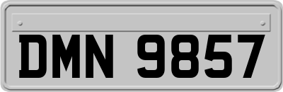 DMN9857