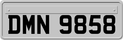 DMN9858