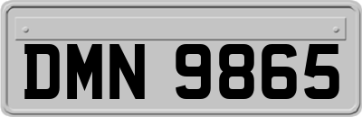 DMN9865