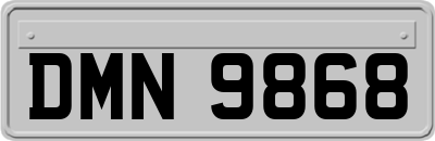 DMN9868