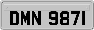 DMN9871