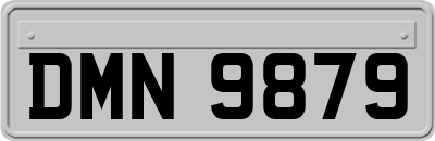 DMN9879