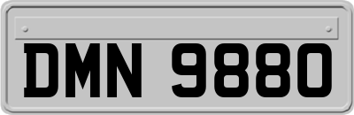 DMN9880