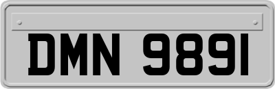DMN9891