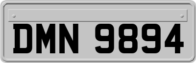 DMN9894