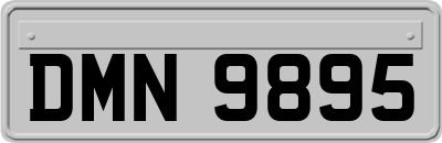 DMN9895
