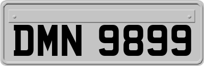 DMN9899