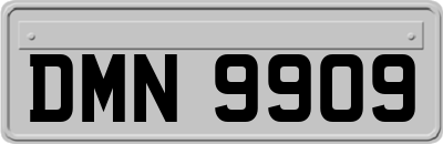 DMN9909