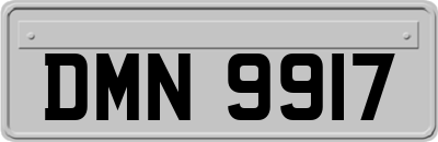 DMN9917