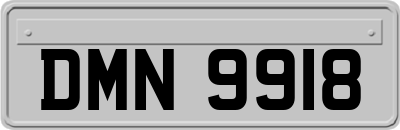 DMN9918