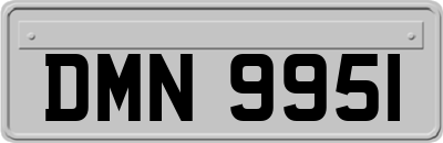 DMN9951
