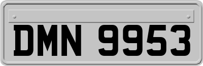 DMN9953