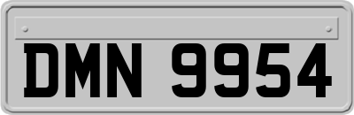 DMN9954