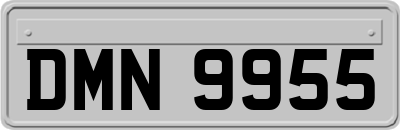 DMN9955