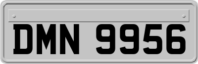 DMN9956