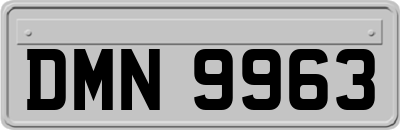 DMN9963