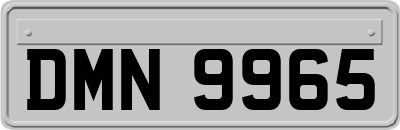 DMN9965