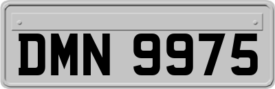 DMN9975