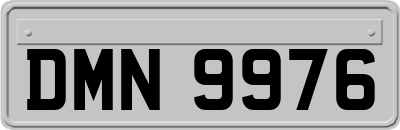 DMN9976
