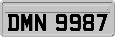 DMN9987