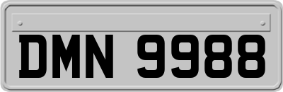 DMN9988