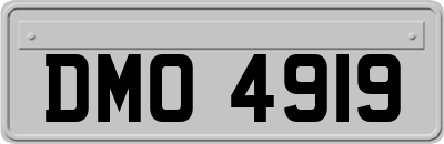 DMO4919