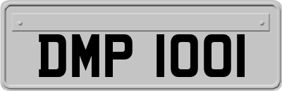 DMP1001