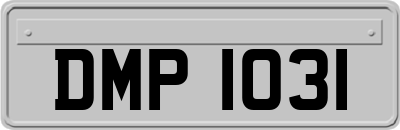 DMP1031