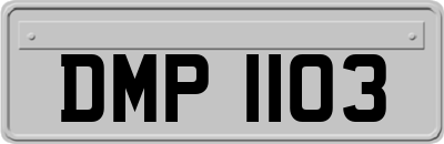 DMP1103