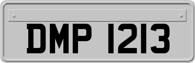 DMP1213