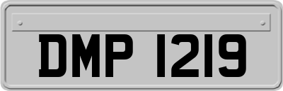DMP1219