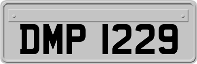 DMP1229