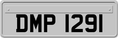 DMP1291