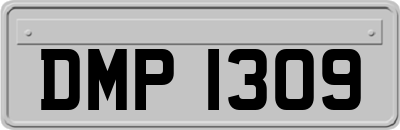 DMP1309