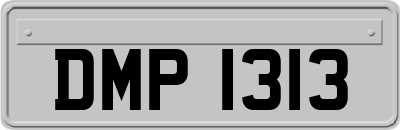 DMP1313