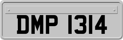 DMP1314