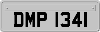 DMP1341
