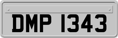 DMP1343