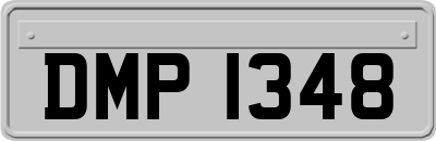 DMP1348