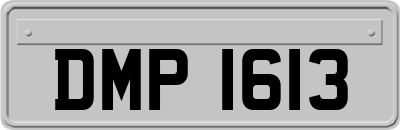 DMP1613