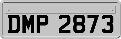 DMP2873