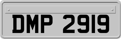 DMP2919