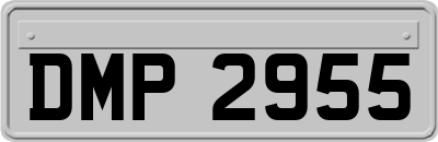 DMP2955