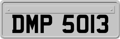 DMP5013