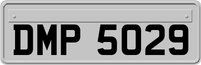 DMP5029