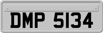 DMP5134