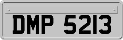 DMP5213