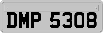 DMP5308