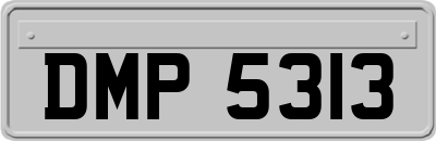 DMP5313